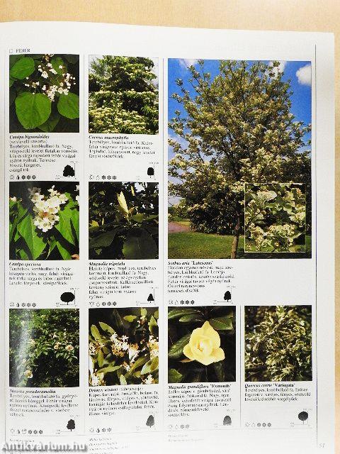 Dísznövény enciklopédia