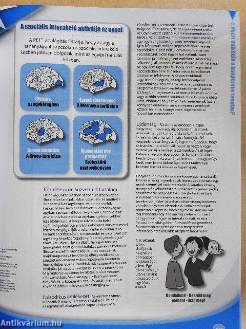 Kooperatív tanulás