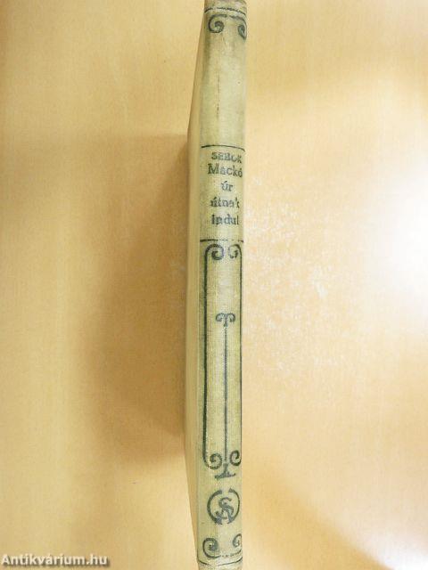 Mackó úr útnak indul