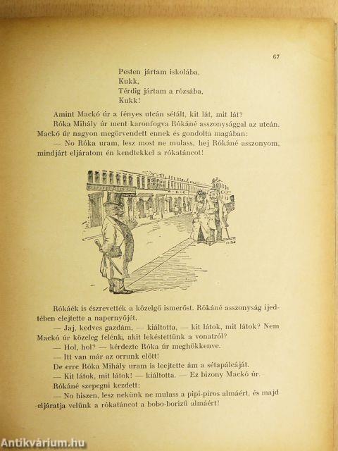 Mackó úr útnak indul