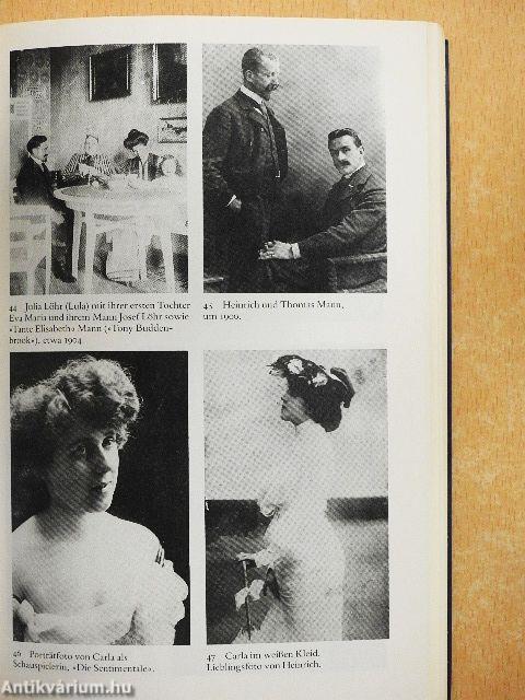 Im Netz der Zauberer