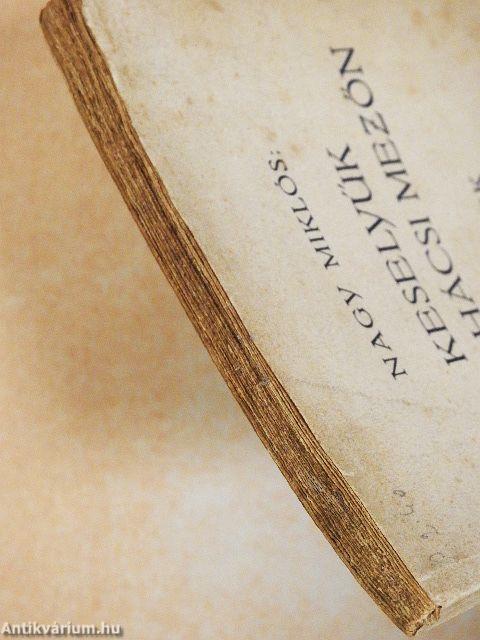 Keselyűk a mohácsi mezőn