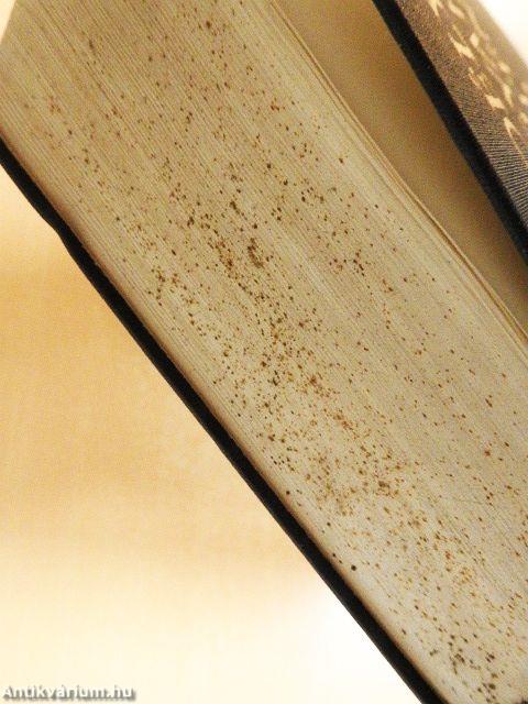 Erdélyi magyar szótörténeti tár V.