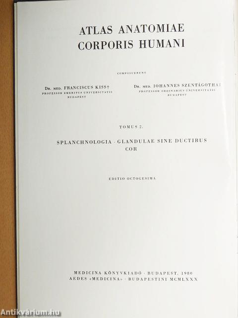 Az ember anatómiájának atlasza 2. (töredék)