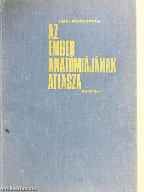 Az ember anatómiájának atlasza 3. (töredék)