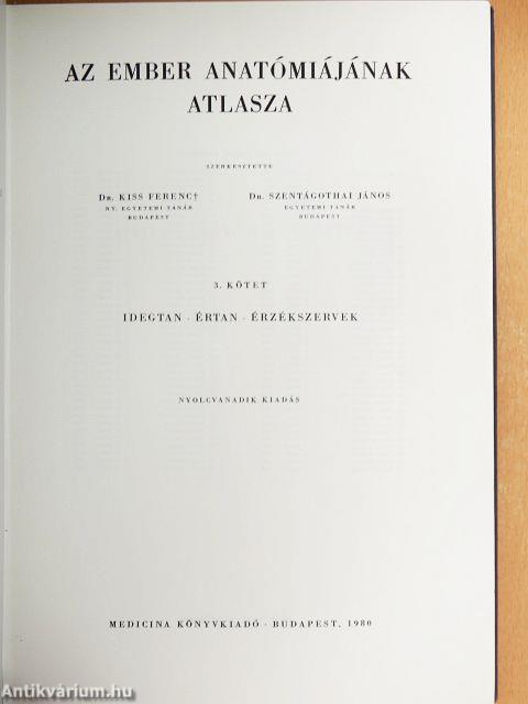 Az ember anatómiájának atlasza 3. (töredék)