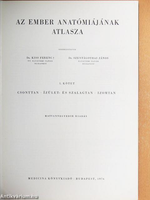 Az ember anatómiájának atlasza I. (töredék)