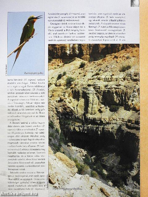 Madártávlat 2007. tél