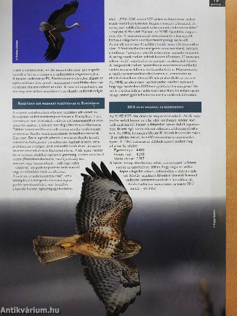 Madártávlat 2011/2.