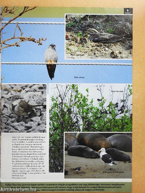 Madártávlat 2011/2.