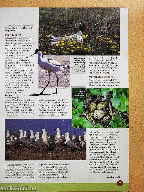 Madártávlat 2013. ősz