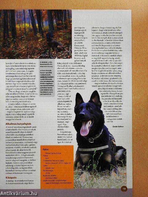 Madártávlat 2013. ősz