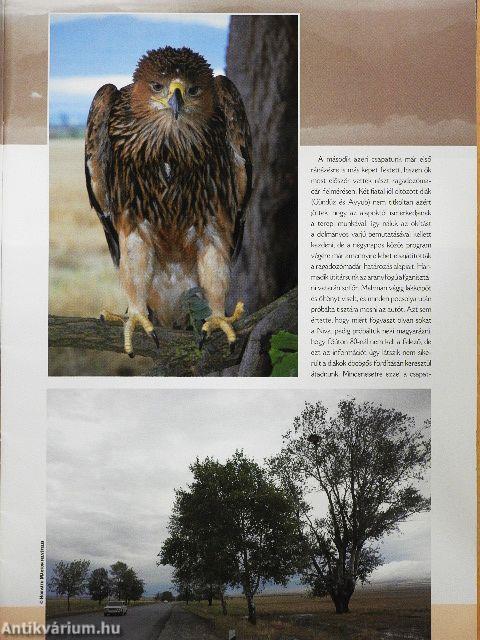 Madártávlat 2011. ősz