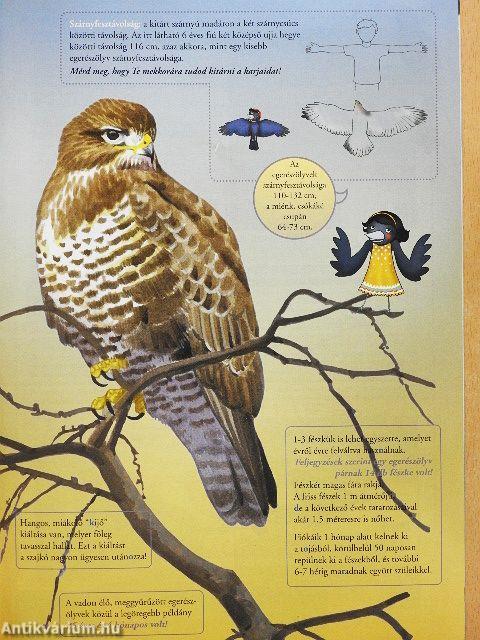 Madártávlat 2012. tavasz