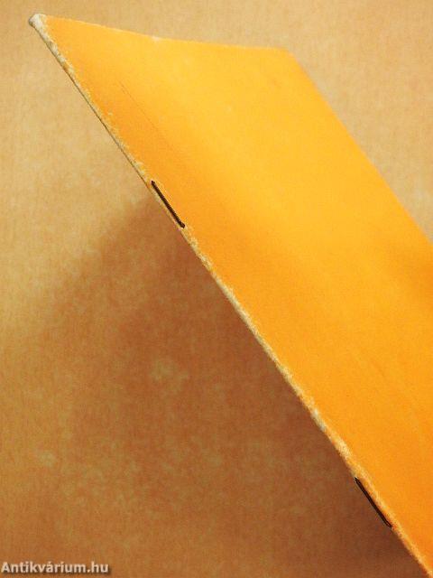 Képes vagyok rá...