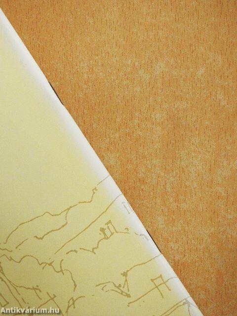 Műemlékem van - mit tegyek, mit tehetek?