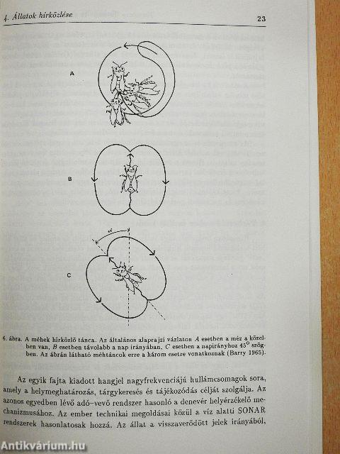 Az emberi üzenetváltásról