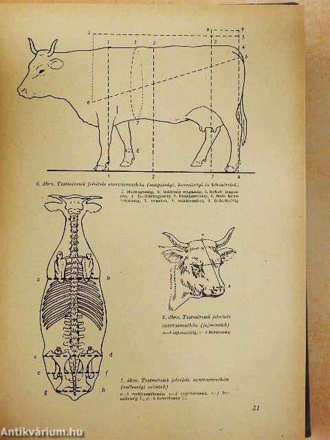 Állattenyésztési enciklopédia 2.