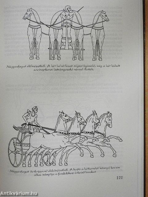 Az ókori olümpiai játékok története