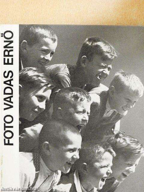 Vadas Ernő munkássága