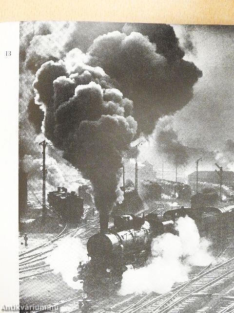 Vadas Ernő munkássága