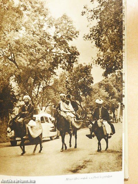 Afrika az álmok világában és a valóságban 1-3.