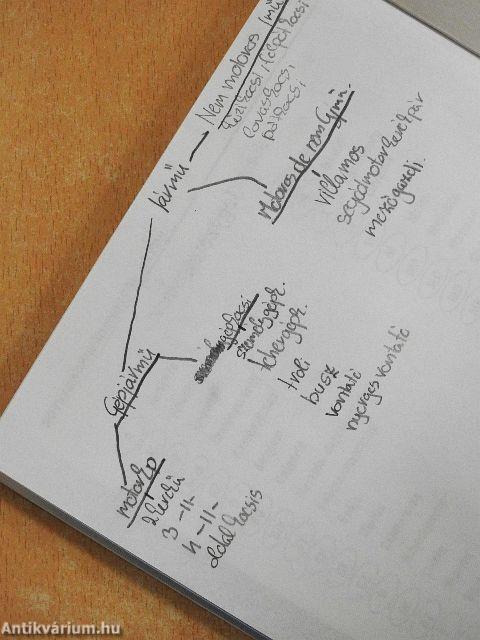 Kresz könyv az úton közlekedők részére