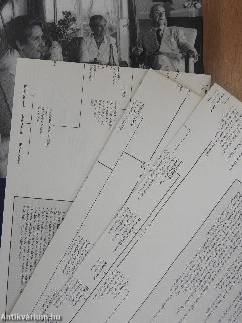 Im Netz der Zauberer