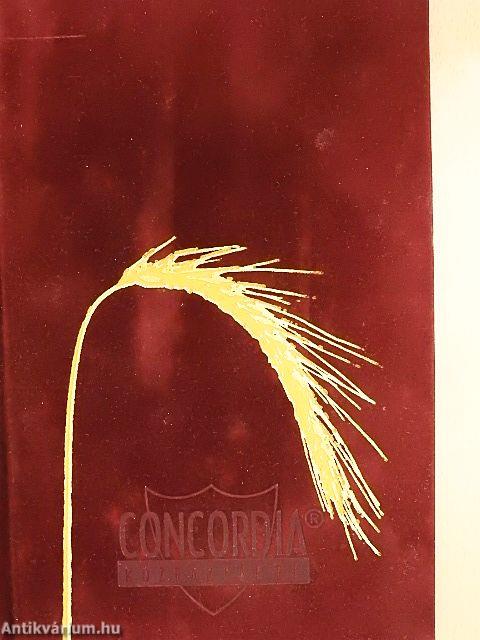 Concordia Kalendárium