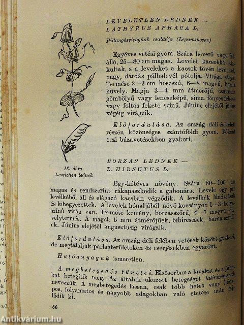 Mérgező és szennyező növények a takarmányban