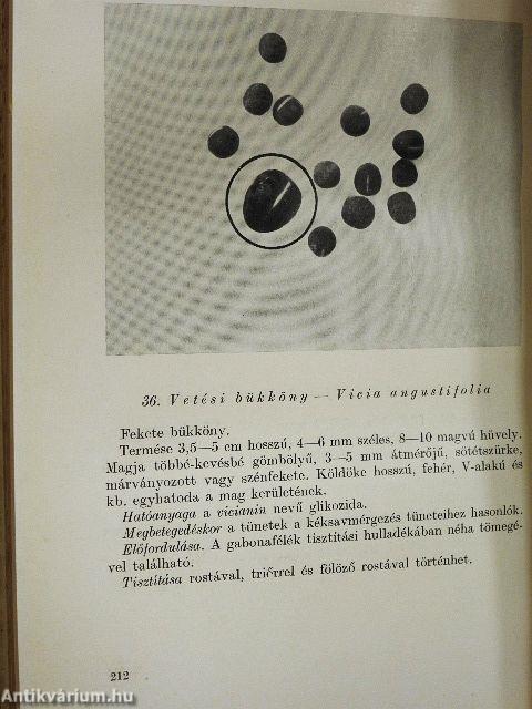 Mérgező és szennyező növények a takarmányban