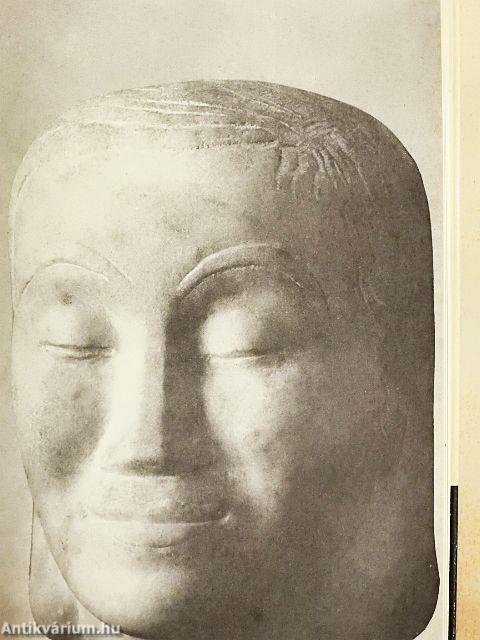 Visszanéztem félutamból