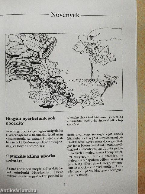 Amit nagyapáink még tudtak 2.