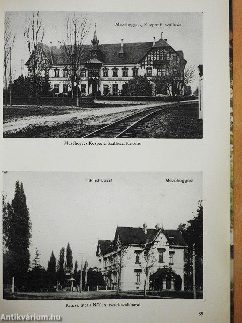 Mezőhegyes képes albuma