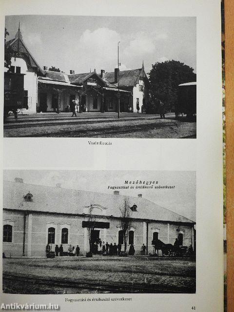 Mezőhegyes képes albuma