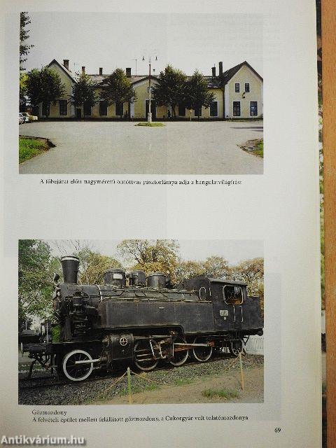 Mezőhegyes képes albuma