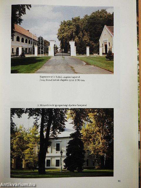 Mezőhegyes képes albuma