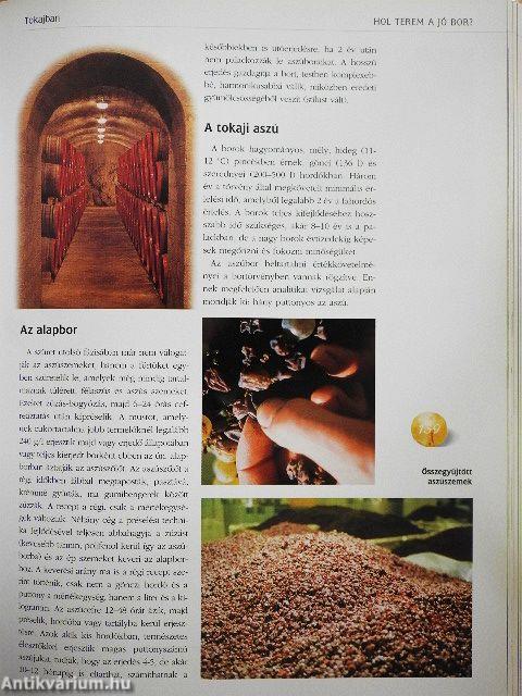 Magyar borok könyve