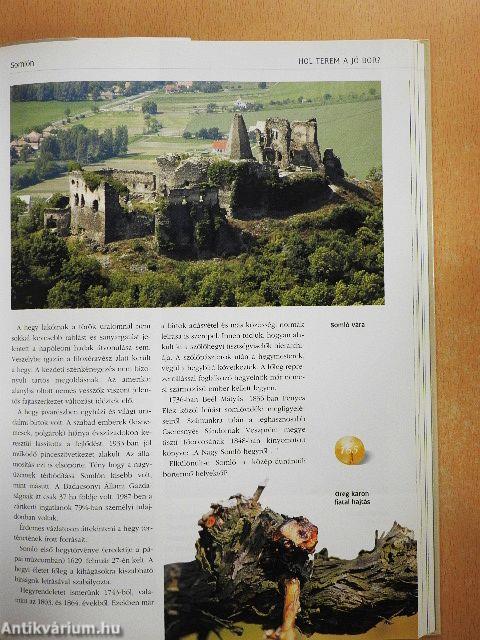 Magyar borok könyve