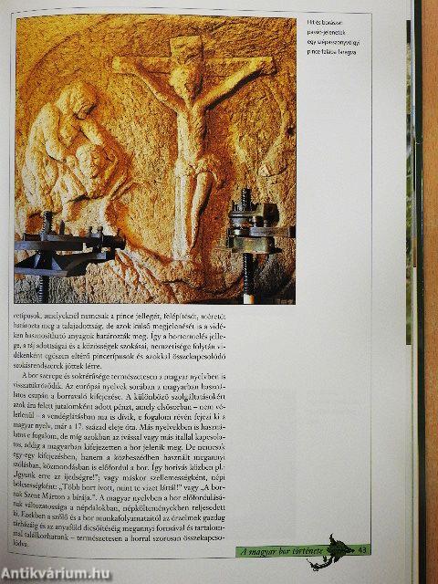 Magyar borok és borvidékek