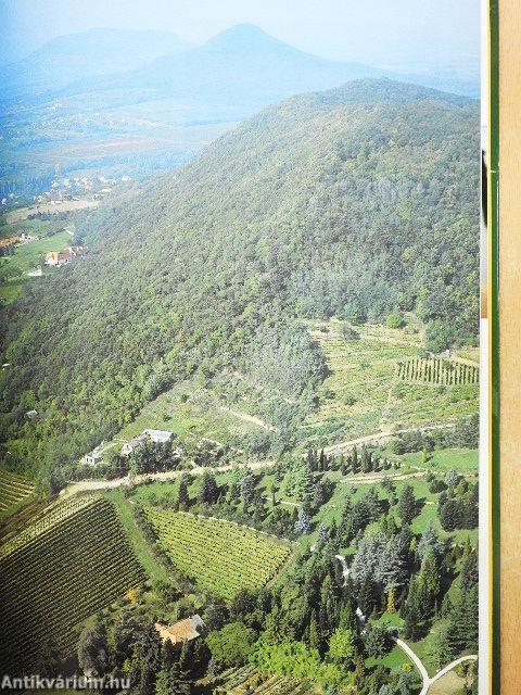 Magyar borok és borvidékek