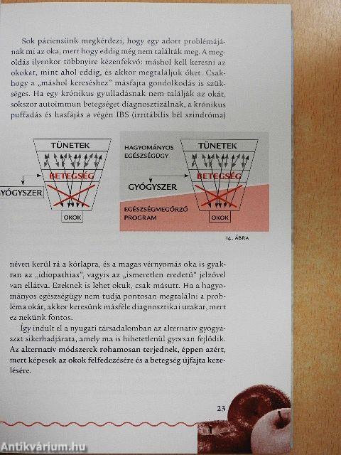 Az elérhető egészség