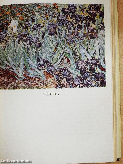 Vincent Van Gogh élete