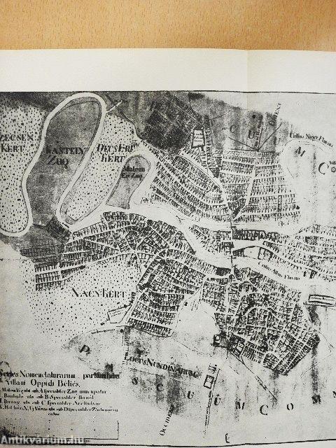 Békés, az átalakuló agrárváros