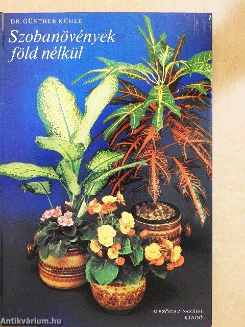 Szobanövények föld nélkül