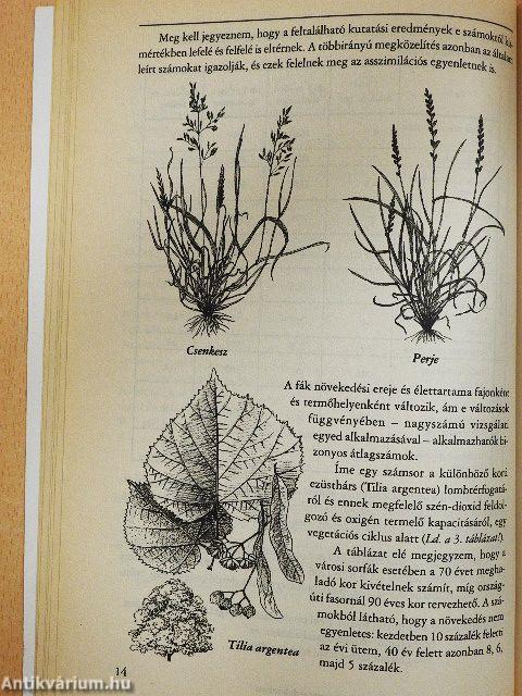 A növényzet szerepe a környezetvédelemben