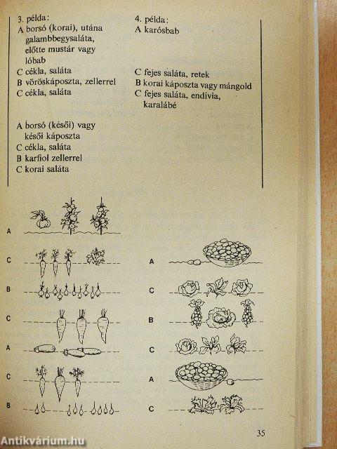 Öngyógyító kiskert