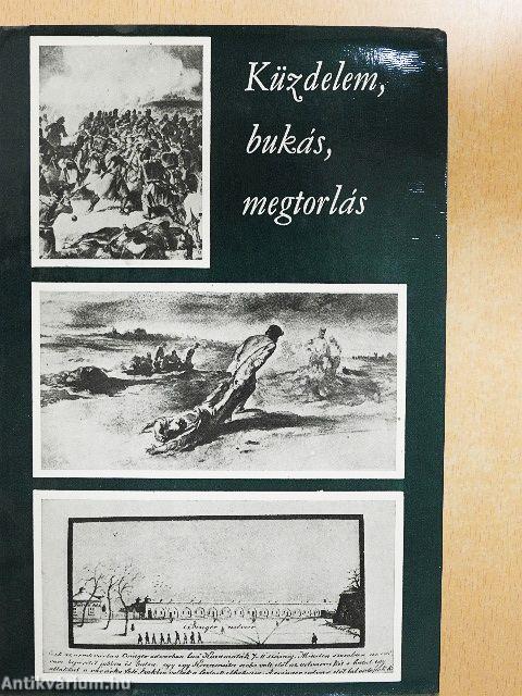 Küzdelem, bukás, megtorlás I-II.