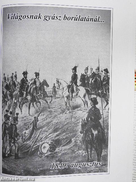 Tanúk és vértanúk