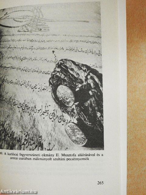 A fogyó félhold árnyékában